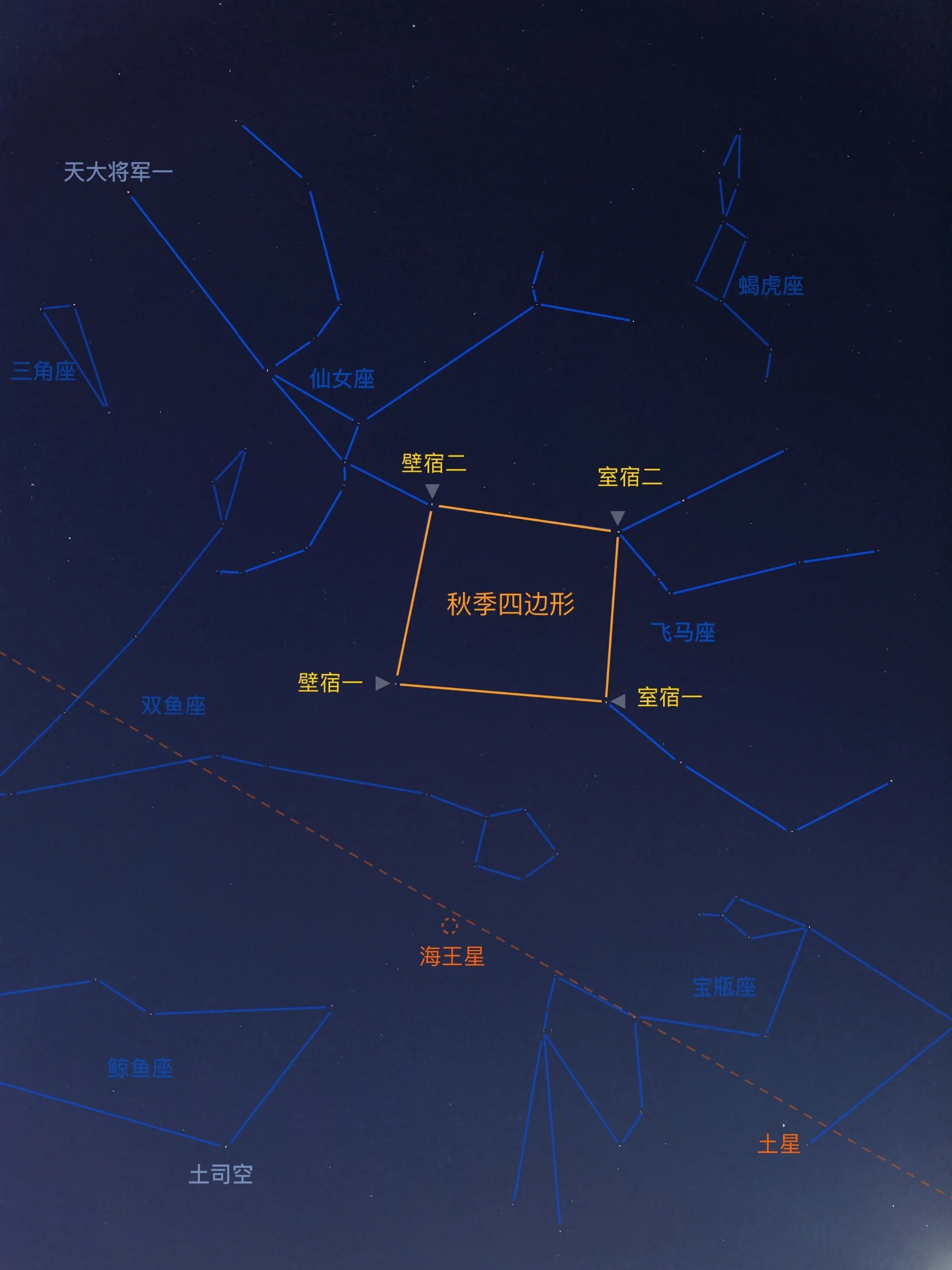 星图app中文版下载_(星图软件下载中文版下载)