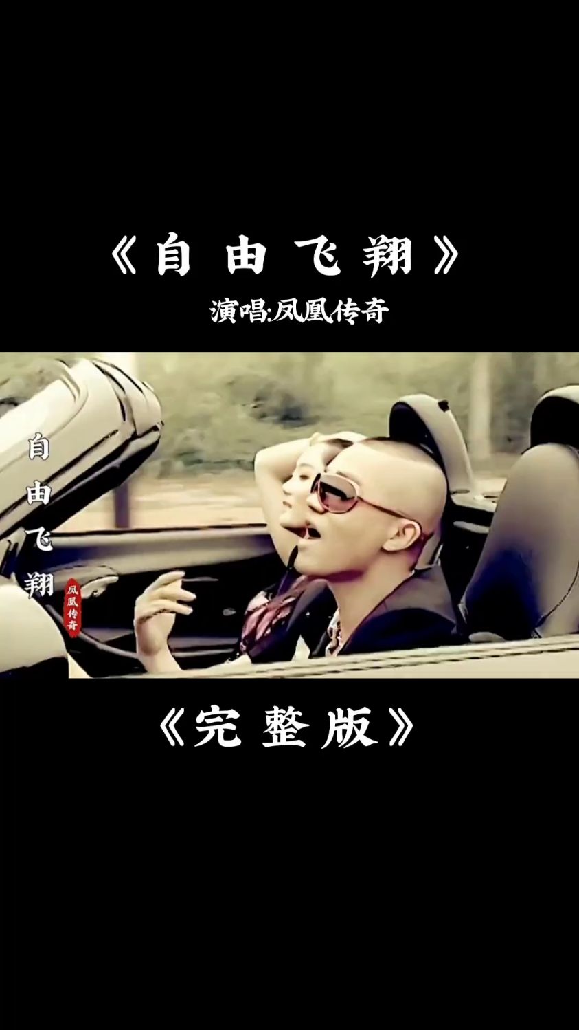 自由飞翔完整版音乐下载(自由飞翔完整版音乐下载mp3)